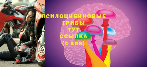 винт Верея