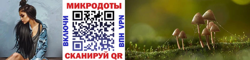 Галлюциногенные грибы Psilocybine cubensis  где можно купить наркотик  блэк спрут ONION  Красный Кут 