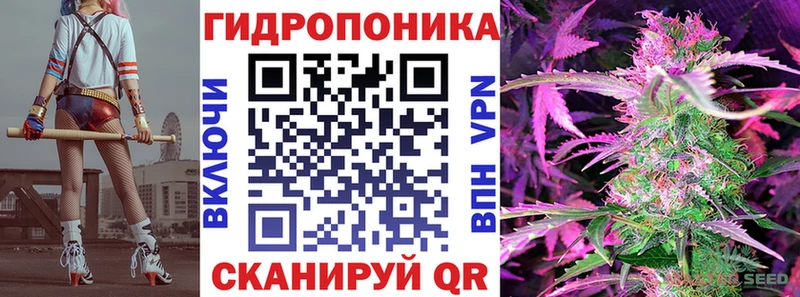 Канабис ГИДРОПОН Красный Кут